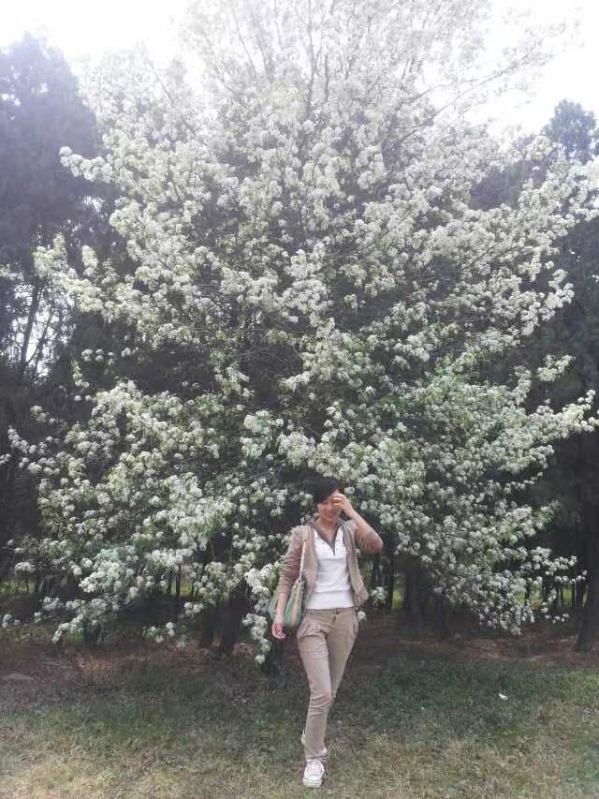 何秋红3