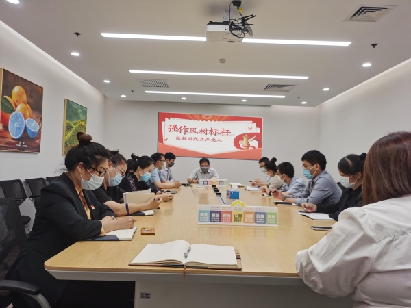 北京公司第八党支部-支部书记讲廉洁党课